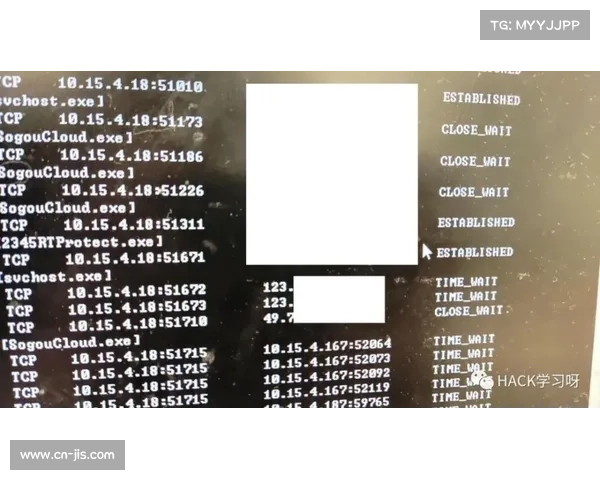 肝区踢击战术:奥马利应对摔跤手的全面实战解析与技巧精要指南 肝区踢击战术:奥马利应对摔跤手的全面实战解析与技巧精要指南